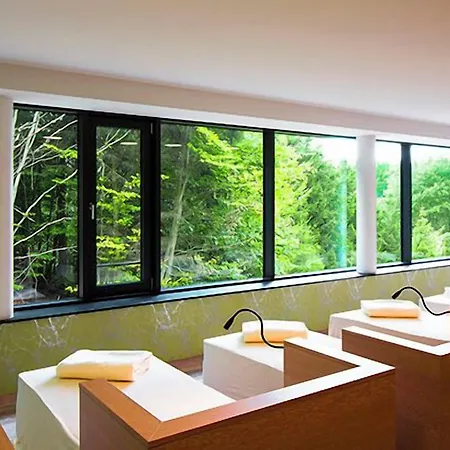 Hotel Naturresort & Spa Schindelbruch Stolberg (Harz)