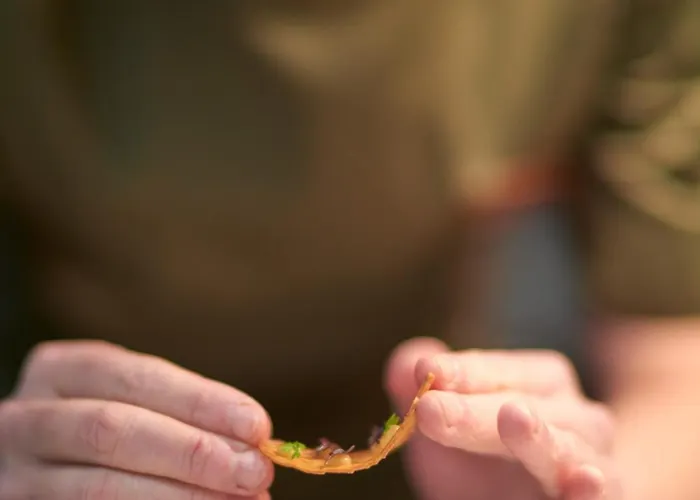 Naturresort & Schindelbruch ホテル 4*